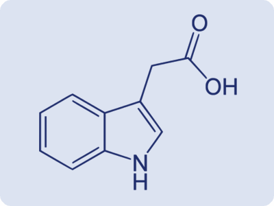 Indole-3-acetic acid